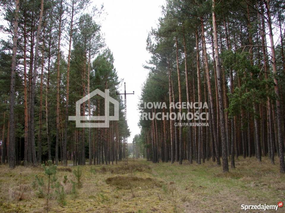 Sprzedaż działki 165900m2 Grunty i działki