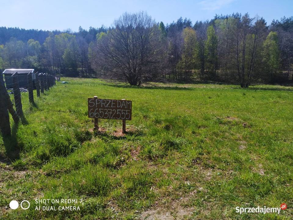 Działka Tadzino gmina Gniewino 4986m2