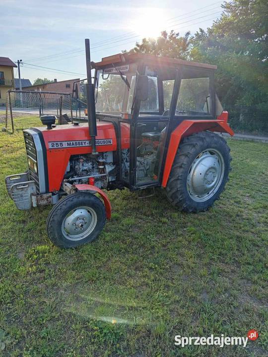 Sprzedam Massey Ferguson 255 Iwonie sprzedam