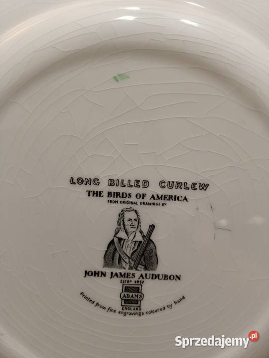 Talerz obiadowy birds America ilustra AUDUBONA Zamość