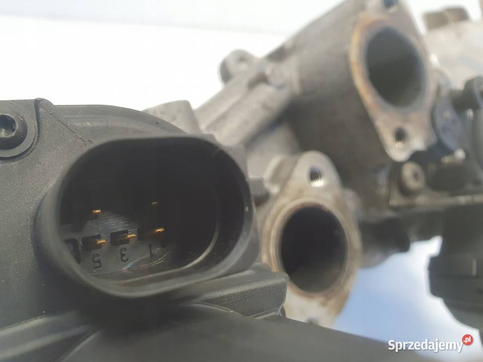 Audi A3 II 8P 16 TDI CHŁODNICA SPALIN egr