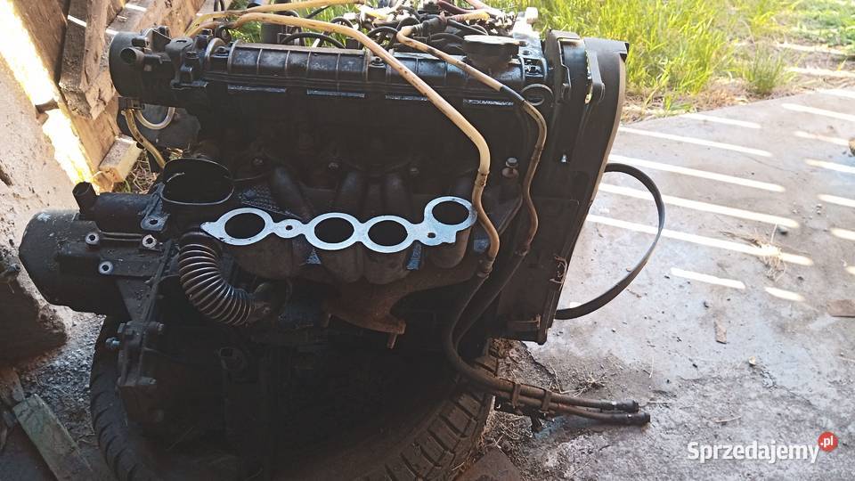 Renault Kangoo 19 d silnik f8q osobowe Grabów