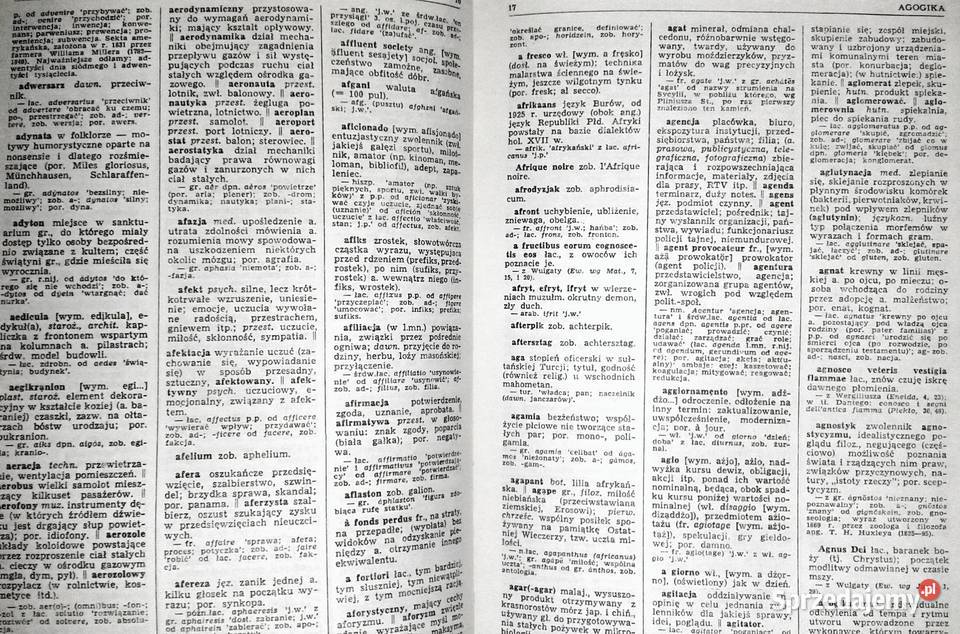 Słownik wyrazów obcych i zwrotów obcojęzycznych Chełm