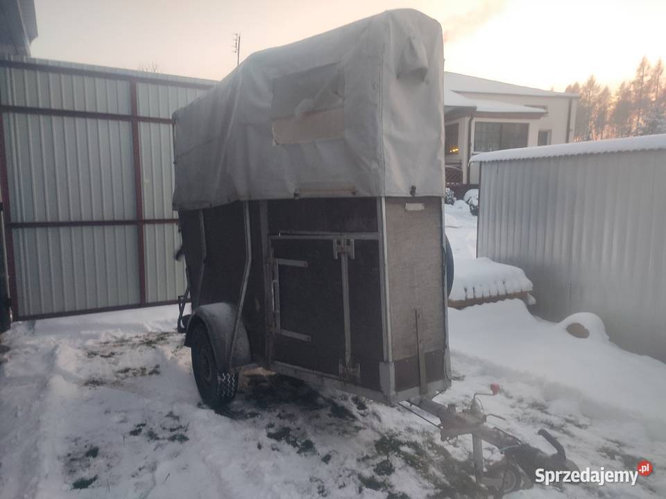 Przyczepa na konie WERTMANN