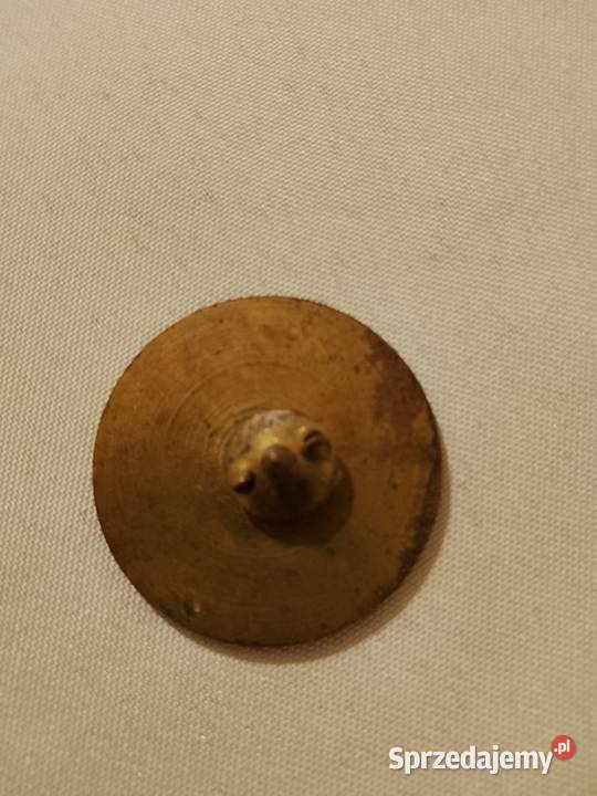 Odznaka Przewodnik Turystyczny Nizinny Zabrze