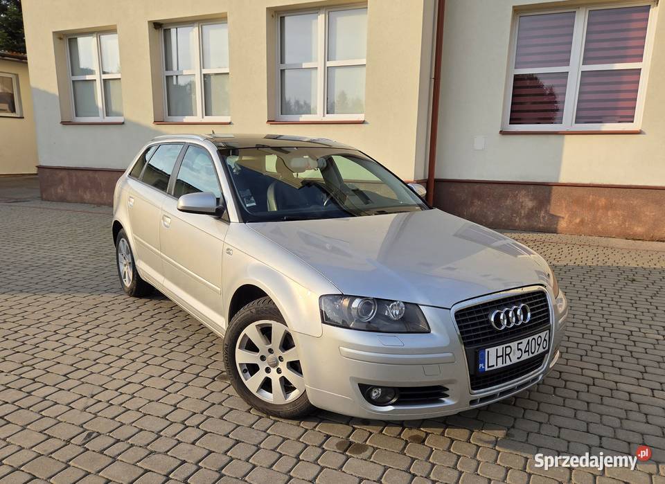 Audi A3 8P 20 tdi Automat DSG Skóry xenon lubelskie Zamość