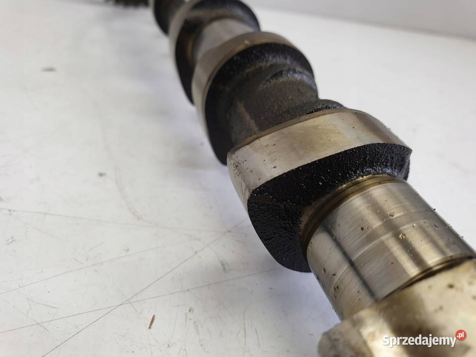 WAŁEK ROZRZĄDU Ford Focus MK1 I 18 16V wydechowy Chełm