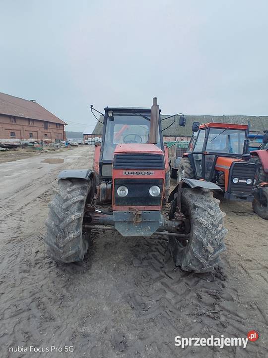 Ciągnik URSUS 1614 Sępopol