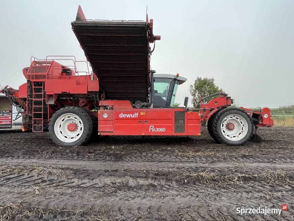 Dewulf RA3060 Toruń