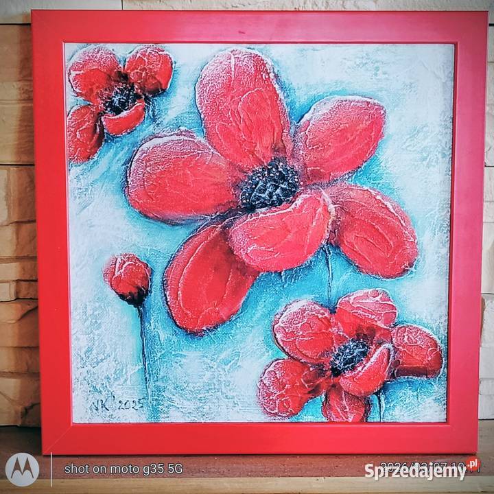 Czerwone maczki Bychawka Trzecia sprzedam