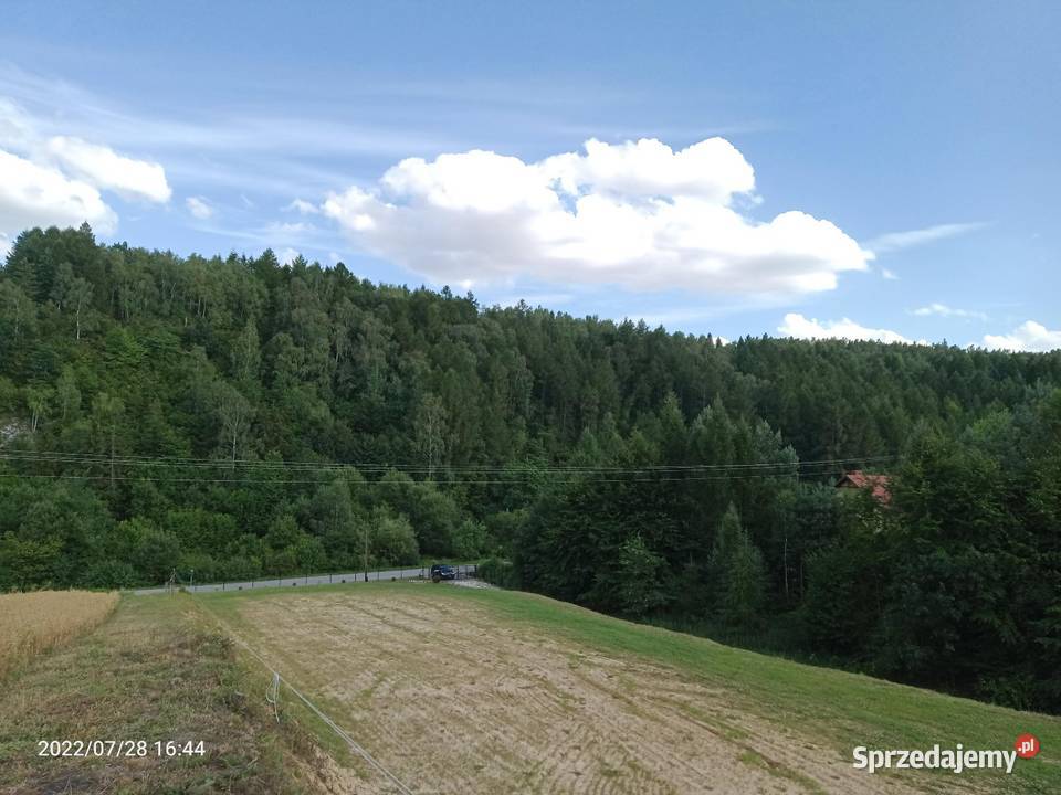 Działka budowlana Cisowa