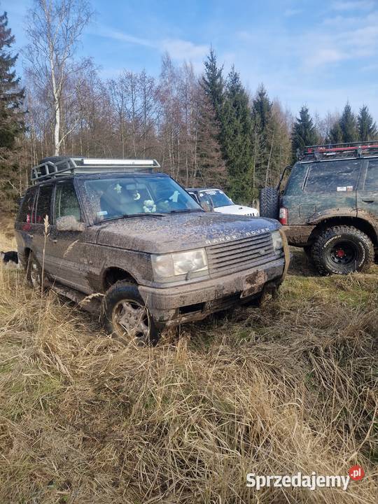 Range Rover p38 diesel Wałbrzych