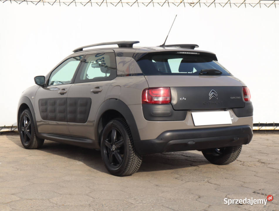 Citroen C4 Cactus 12 PureTech relingi dachowe Łódź