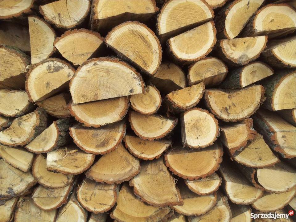 DREWNO KOMINKOWE DĄB SZAMOTUŁY POZNAŃ LUSOWO Poznań