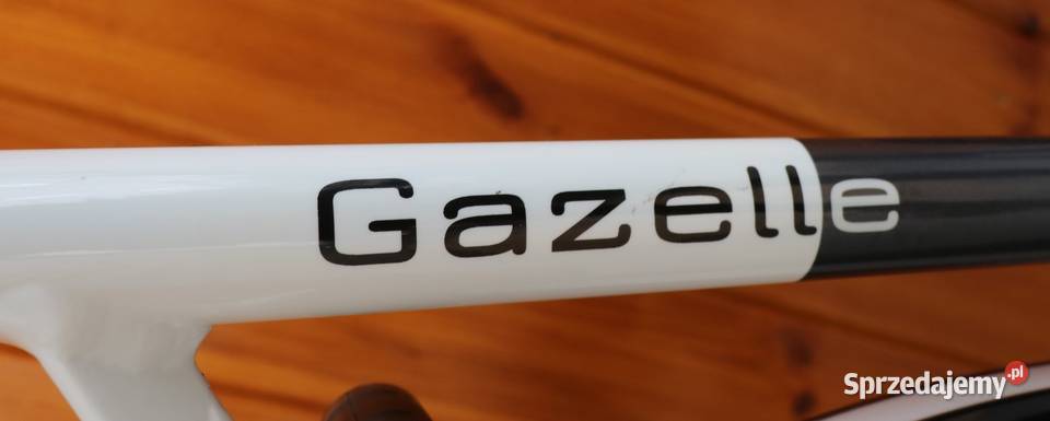 Rower damski Gazelle EclipseD 49 I inne rowery Miejskie Miejskie Milanówek