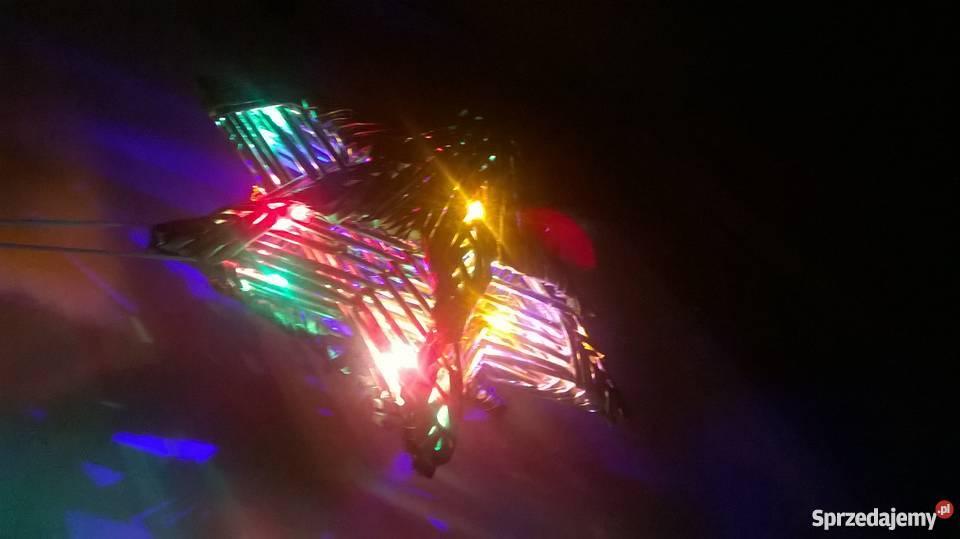 gwiazda z wikliny papierowej