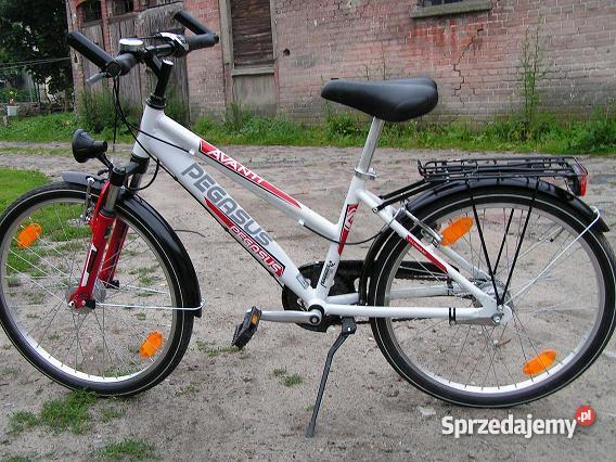 rower miejski pegasus 24