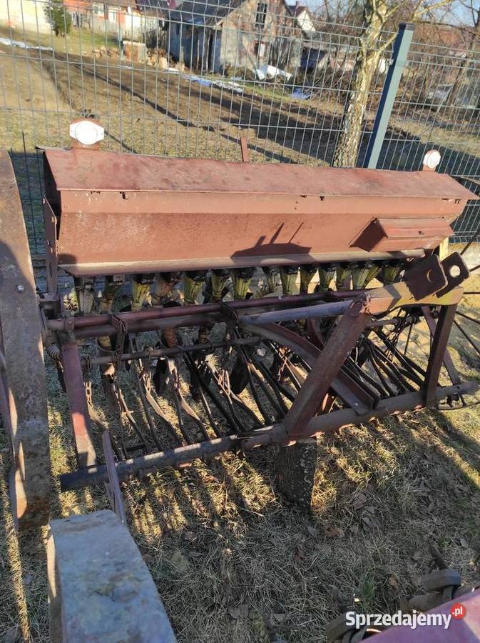 Sprzedam siewniki Wielkie Oczy