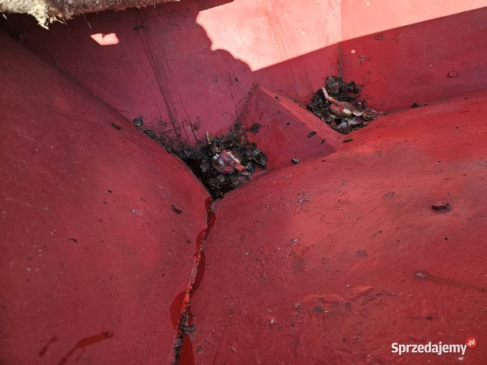 Rozsiewacz do nawozu 600L sprawny nieuszkodzony wielkopolskie Kłodawa