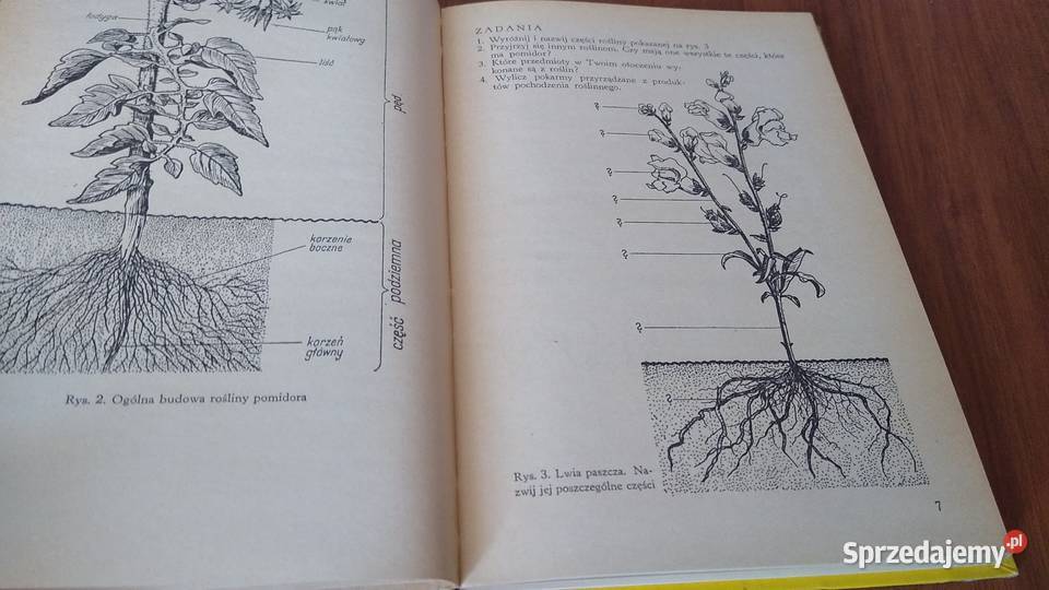 Przyroda klasy V Maria Janicka podręcznik 5 szkoła podstawowa Gdańsk