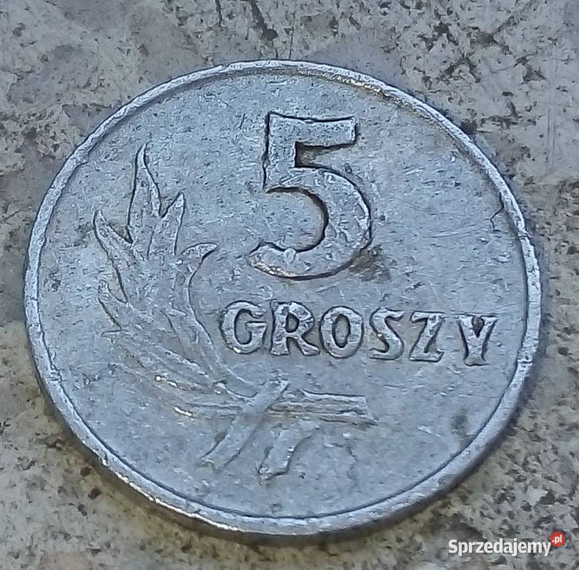 POLSKA 5 GROSZY 1962 rAL bzSTAN NA ZDJĘCIU mazowieckie Legionowo sprzedam