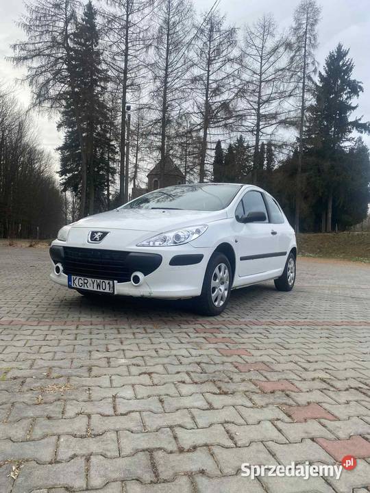 Peugeot 30716HDi 110 2005r diesel Frysztak