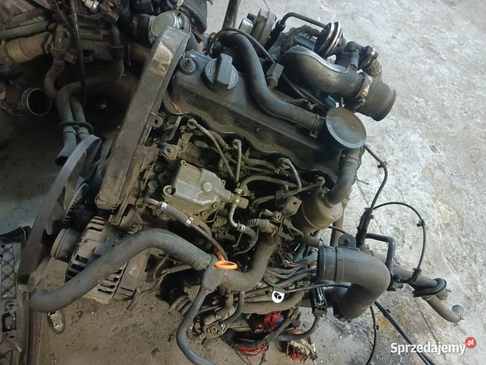Pompa wtryskowa 19 TDI vp 90 passat B5 audi a4b5 Rok produkcji 1999 Werbkowice