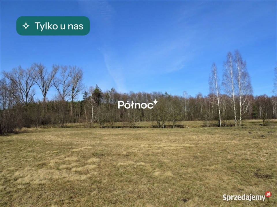 Łąka i las w Cieleśnicy lubelskie Cieleśnica sprzedam