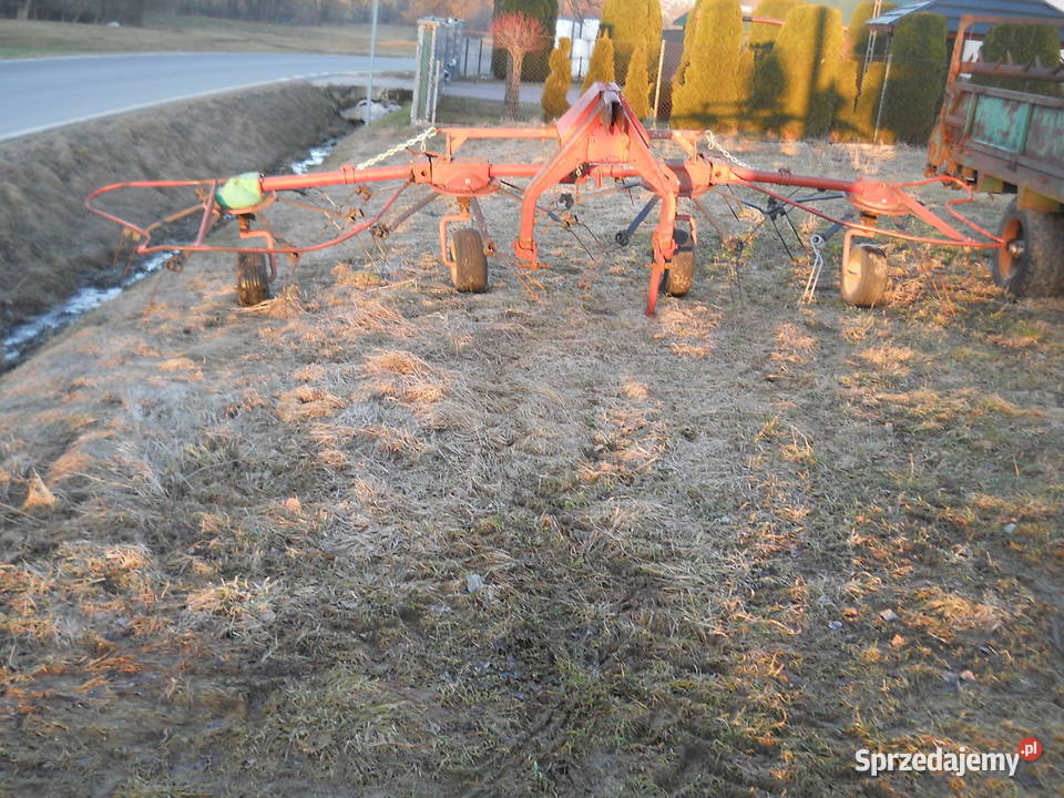 Pająk Przewrwcarka Przetrząsacz małopolskie Spytkowice