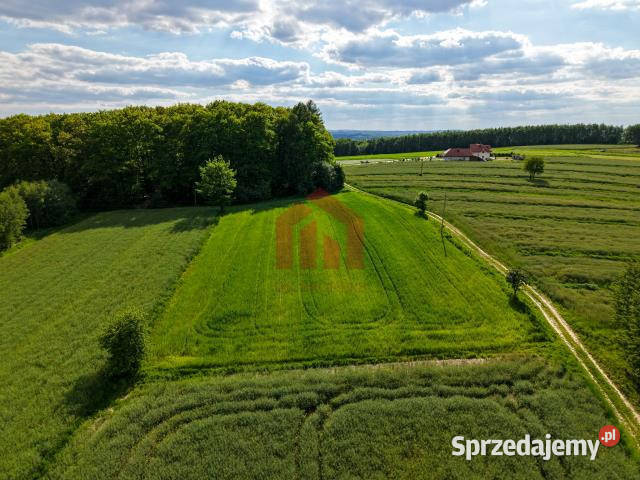 Działka do sprzedania 1347m2 Ropczyce 65zł/m2