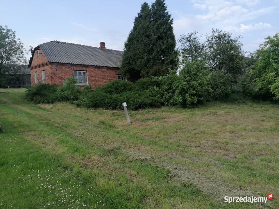Dom siedlisko duza działka Kolonia Emska sprzedam