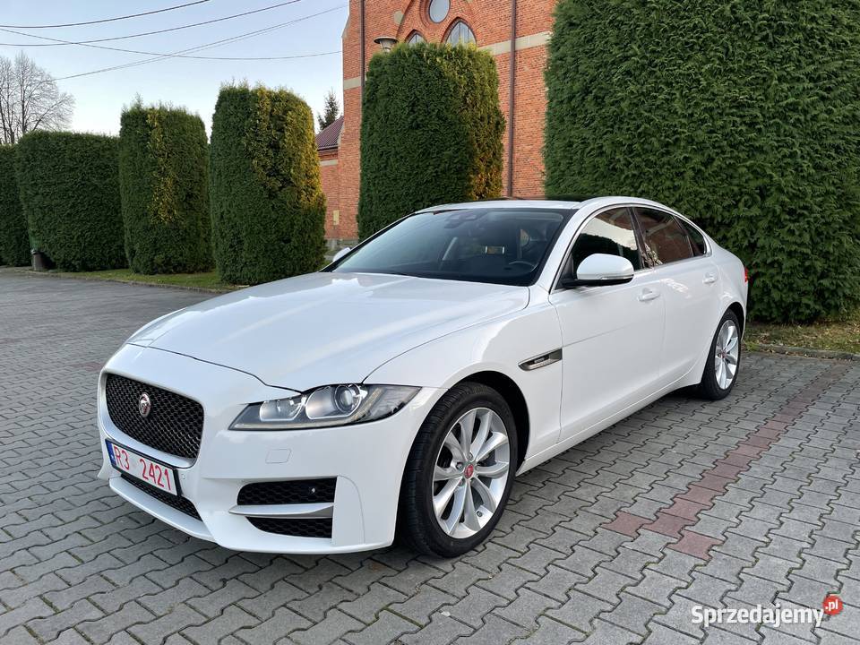 Jaguar XF 20 Benzyna 247hp 25t Premium AWD 2019 Sedan / Limuzyna Osobnica