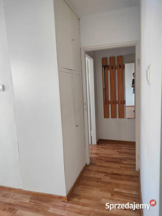 2 Pokoje Wyzwolenia 33m Liczba pokoi 2 zachodniopomorskie Szczecin