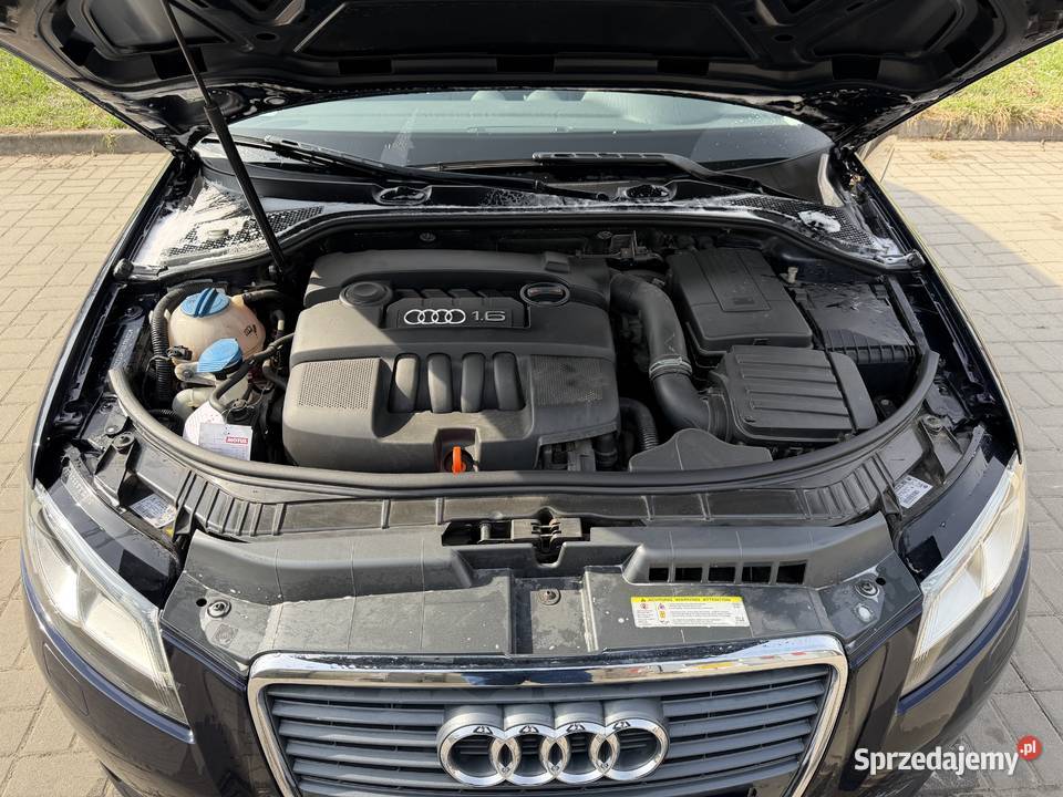 Audi A3 8p 16 mpi Dzierżoniów
