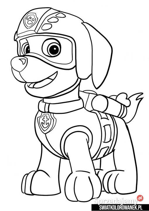 22555663335588774455 tmbaj7ne6g0018253 Dętki i ochraniacze Zabłudów