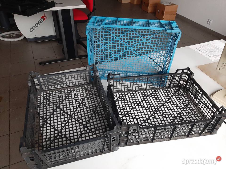Skrzynka na pieczarki kpl linia do produkcji Sosnowiec
