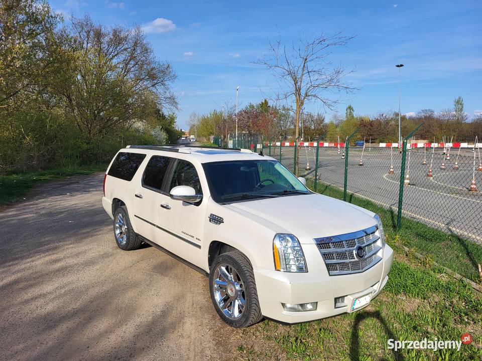 CADILLAC ESCALADE ESV PLATINUM 62 V8 BIAŁA PERŁA 292000km Poznań