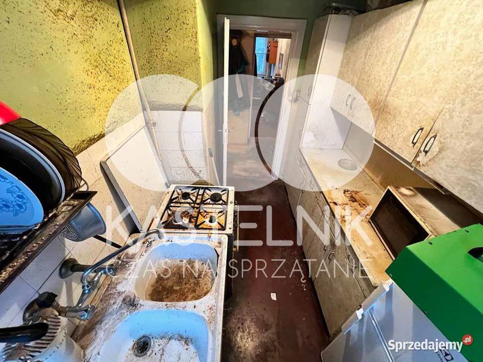 Utylizacja mebli pluskwach Trzebinia Kastelnik