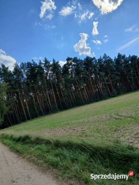 Sprzedam działkę budowlaną Wymysłowo
