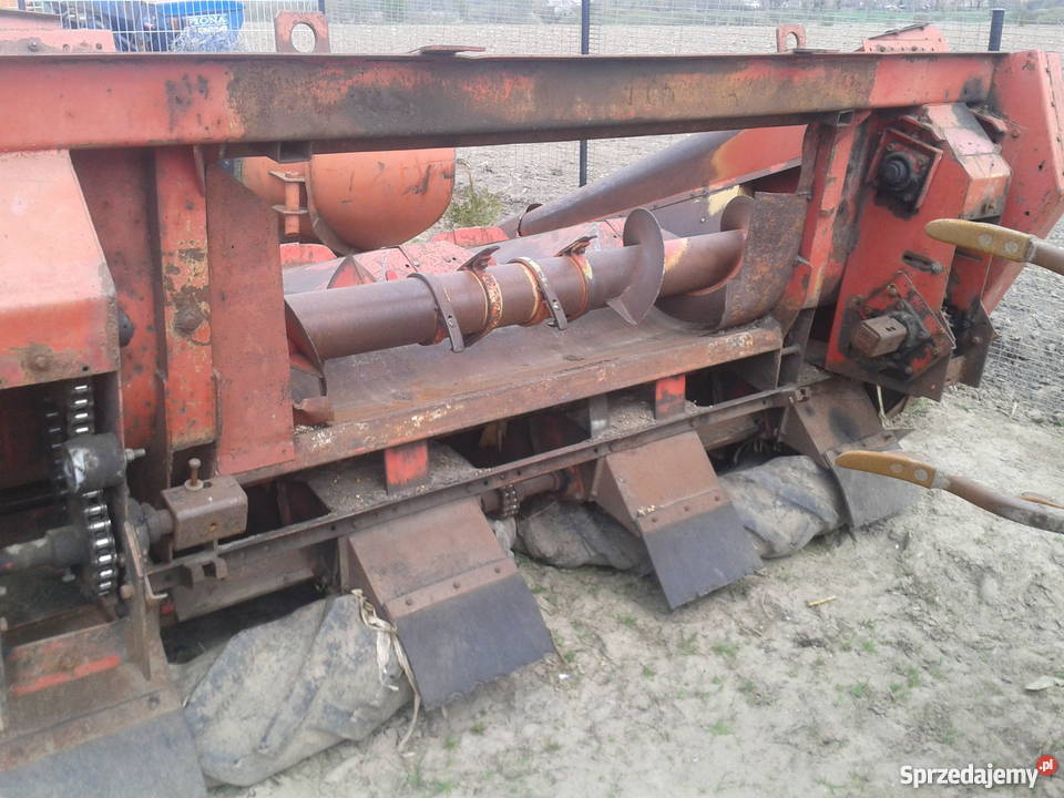 Przystawka do kukurydzy GERINGHOFF Rok produkcji 1995 Kikół