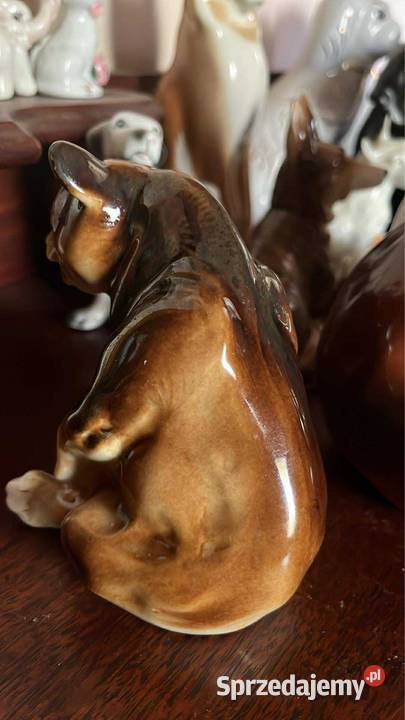 Figurka niedźwiedzia brunatny ClujNapoca Gdańsk