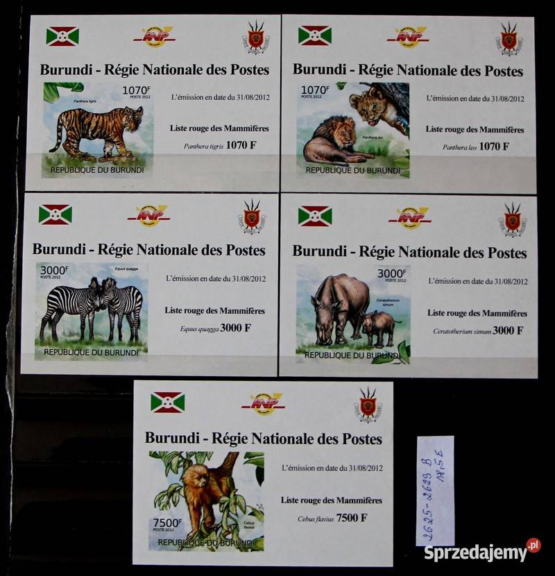 Burundi wielkopolskie Oborniki