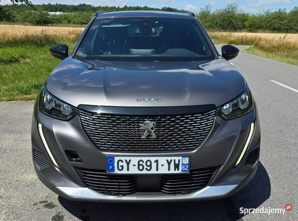 Peugeot 2008 40000 II 2019 klimatyzacja Pleszew