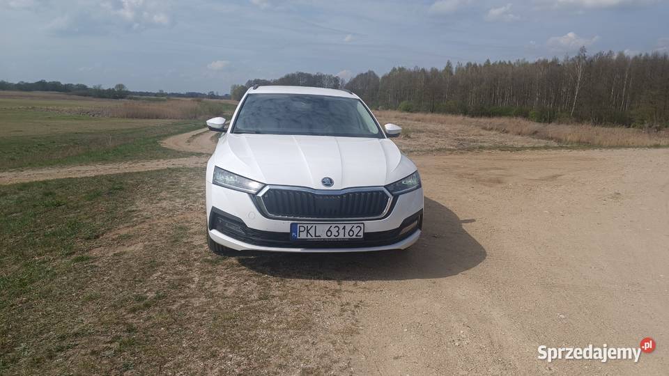 Skoda Octavia 20TDI Ambition Salon Bezwypadkowy Octavia wielkopolskie Koło