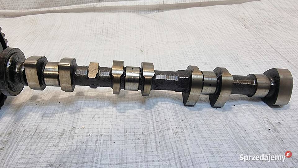 WAŁEK ROZRZĄDU SSĄCY KOŁO ROZRZĄDU FORD FOCUS osobowe kujawsko-pomorskie