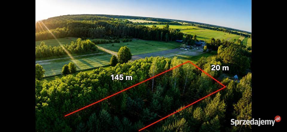 Działka bud 2900 M2 Łukawska Wola WZ ZADRZEWIONA