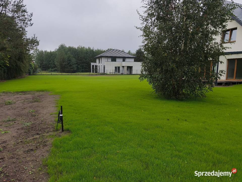 Ogrodnik Białystok Projektowanie zakładanie ogród