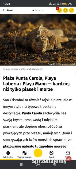 Aprilia RSV RR TUONO 1000 motor kombinezon Kalisz