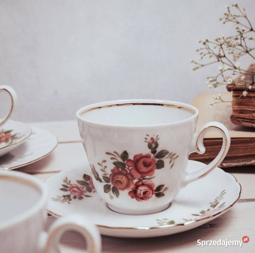 Zestaw 10 sztuk porcelany wielkopolskie