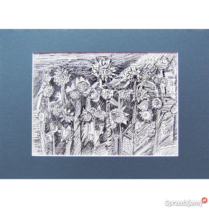 Dziki ogród rysunek czarno biały Sztuka współczesna Katowice